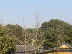 -西园寺素食(西园弄戒幢律寺店)