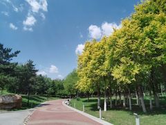 -莫子山公园