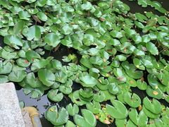-绍兴鉴湖君澜大酒店