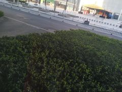 -万达广场(无锡滨湖店)