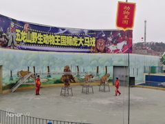 -五龙山野生动物王国