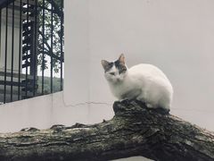 -舟山嵊泗列岛风景名胜区
