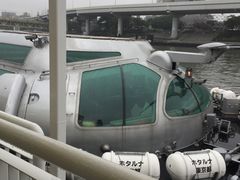 -台场海滨公园船码头