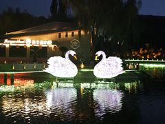 -金城公园