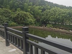 -九龙潭景区