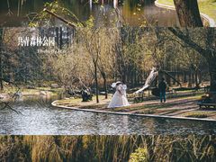 -上海共青森林公园