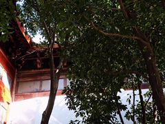 -秋霞圃