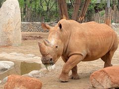 -北京野生动物园