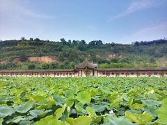 -渭南桃花源民俗文化园