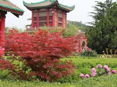 -茂陵博物馆