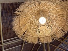 -老号尤兔头(幸福店)