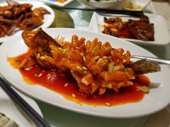 松鼠桂鱼-顺风海鲜港(长寿路店)