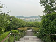 -羊山湖公园