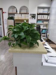 -痘院长·祛痘·科技美肤