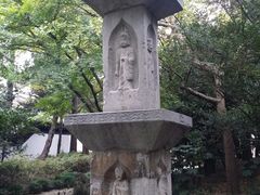 -汇龙潭