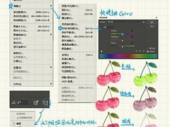 -CGWANG王氏教育(上海校区)