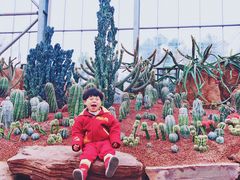 -南通洲际绿博园