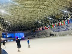 -世界之窗阿尔卑斯冰雪世界