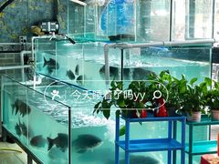 -顺德公美食(西乡店)