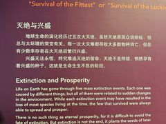 -Behring World of Animals(上海自然博物馆店)