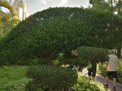 -江头公园
