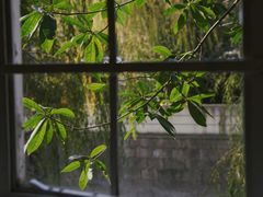 -MAISON门前杂货店