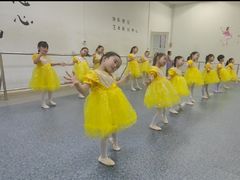 -快乐琴弦音乐舞蹈艺术教育中心(马连道校区)