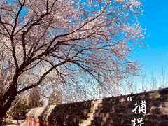 -北海公园