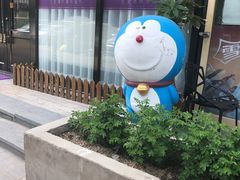 -宠爱国际动物医院· 猫科· 外科·中兽医(长白店)