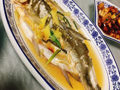 清蒸白水鱼-洞天食府(北大街店)