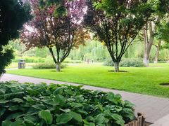 -中华世纪坛-停车场