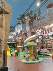 -卡通尼·Safari非洲探索乐园·生日会(金桥国际商业广场店)