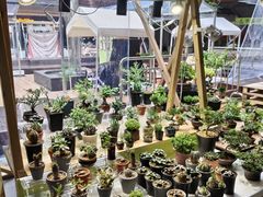 -瑞虹新天地月亮湾