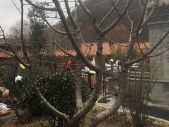 -麦积山温泉
