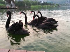 -中国移动南方基地