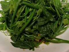 -巴依老爷新疆美食(常营店)