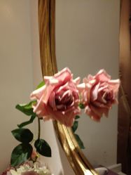 -蕾蕾美颜美容美体