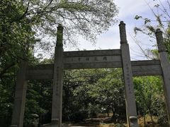 -雨花胜境