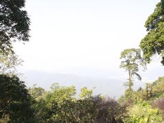 -广州市帽峰山景区