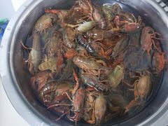 -盒马鲜生(和谐广场店)