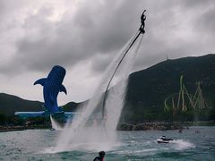 -珠海长隆海洋王国