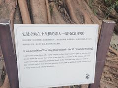 -重庆十八梯传统风貌区