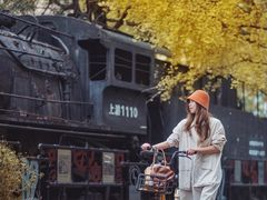 -成都保利公园皇冠假日酒店(熊猫基地店)