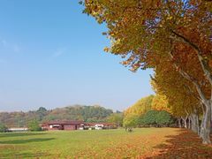 -宜兴龙背山森林公园