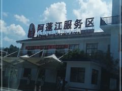 -中国石化阿蓬江东加油站