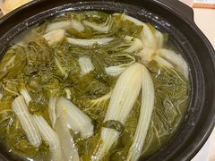 煲淋白菜-沙龙酒家