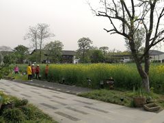 -田园东方蜜桃村的田野营地