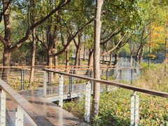 -昆山城市生态森林公园