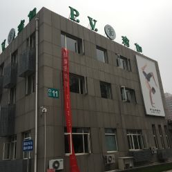 -P.V.传统瑜伽学校