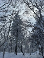 -大秃顶子山